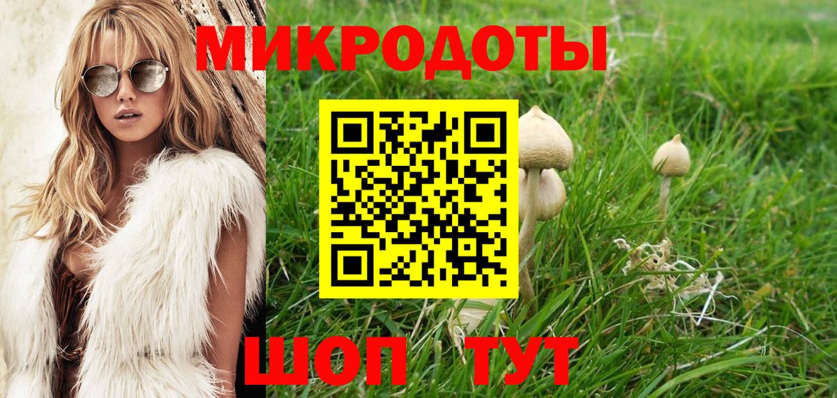Псилоцибиновые грибы мицелий  Вход с VPN  Зеленодольск  Галлюциногенные грибы мухоморы 
